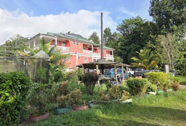 Commercial/agricultural property for sale in Sultan, Dominica -EC$3.5Million / US$1.3Million