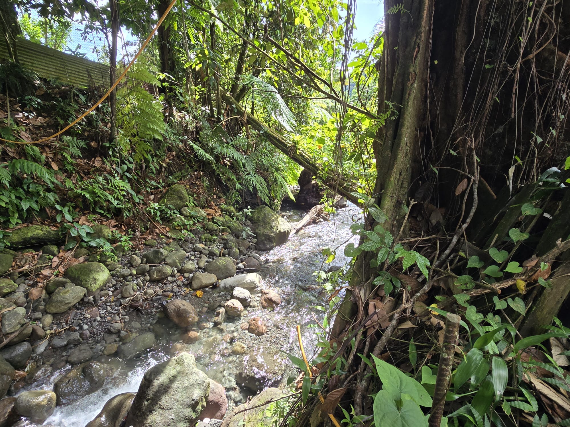 Commercial/agricultural property for sale in Sultan, Dominica -EC$3.5Million / US$1.3Million
