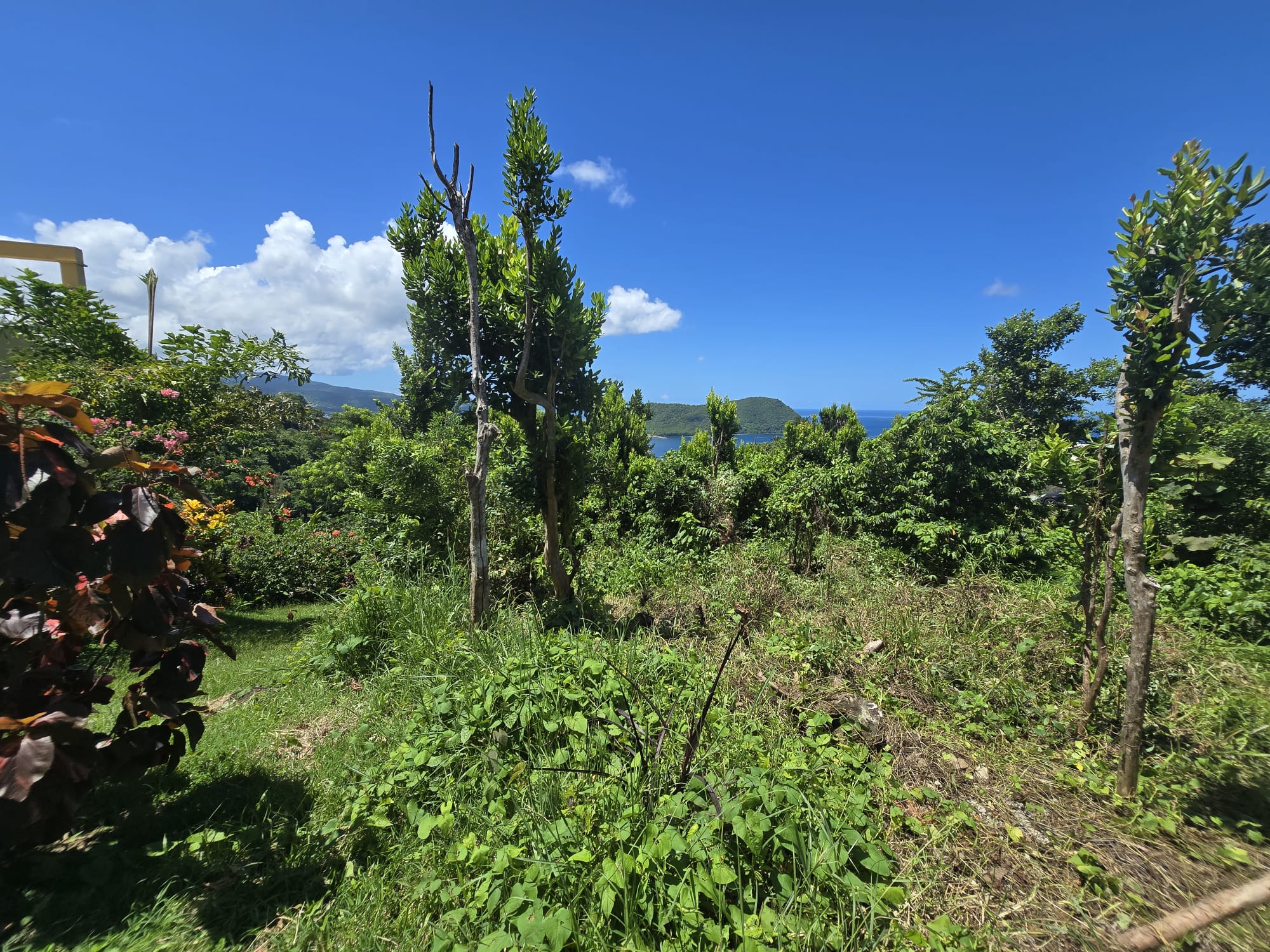 9000sqft  residential lot in Savanne Paille, Dominica  – EC$140,000 / US$52,434