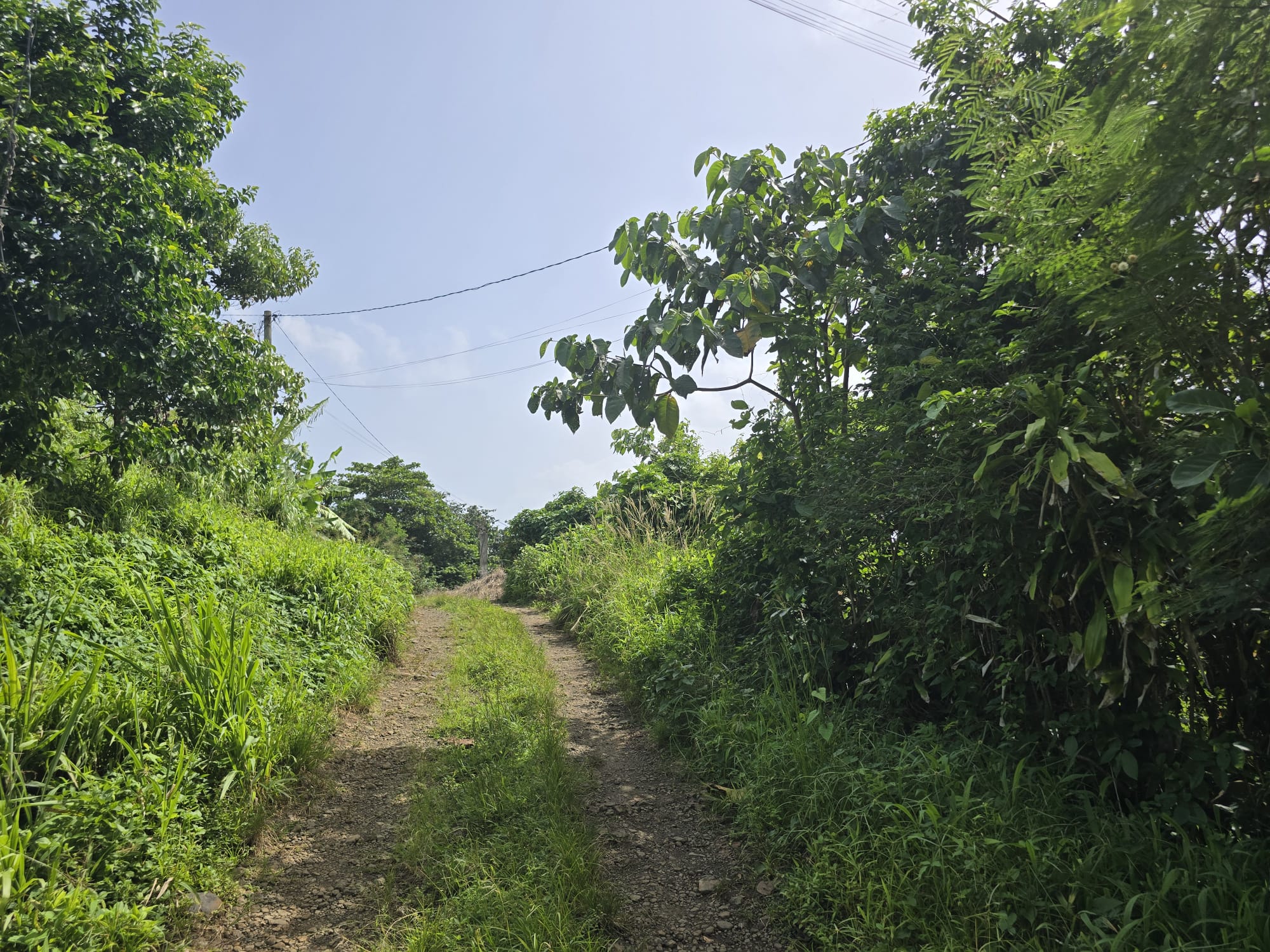 0.43 acre (18,730.8 sqft) residential lot for sale in Marigot, Dominica – EC$187,308 / US$70,153