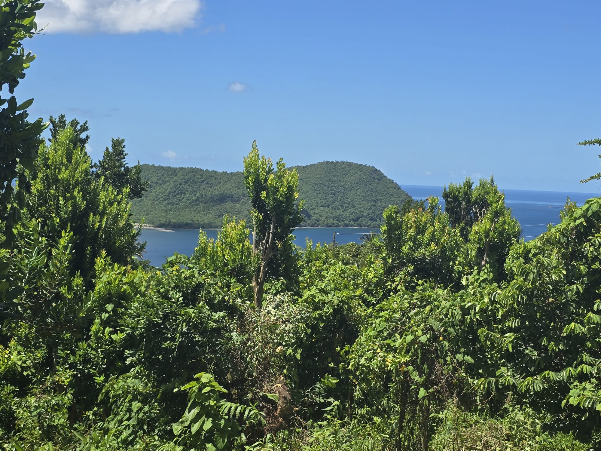 9000sqft  residential lot in Savanne Paille, Dominica  – EC$140,000 / US$52,434