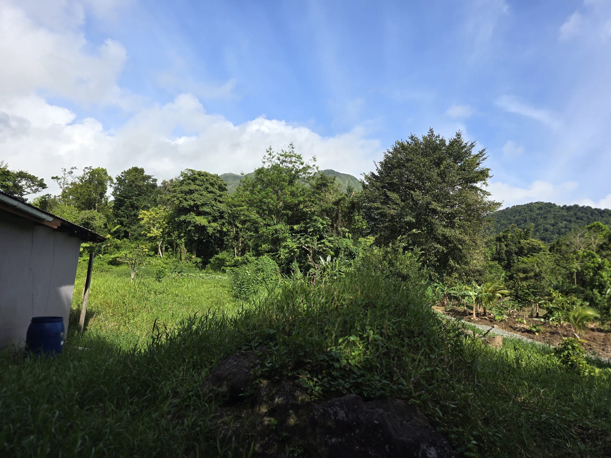 Commercial/agricultural property for sale in Sultan, Dominica -EC$3.5Million / US$1.3Million
