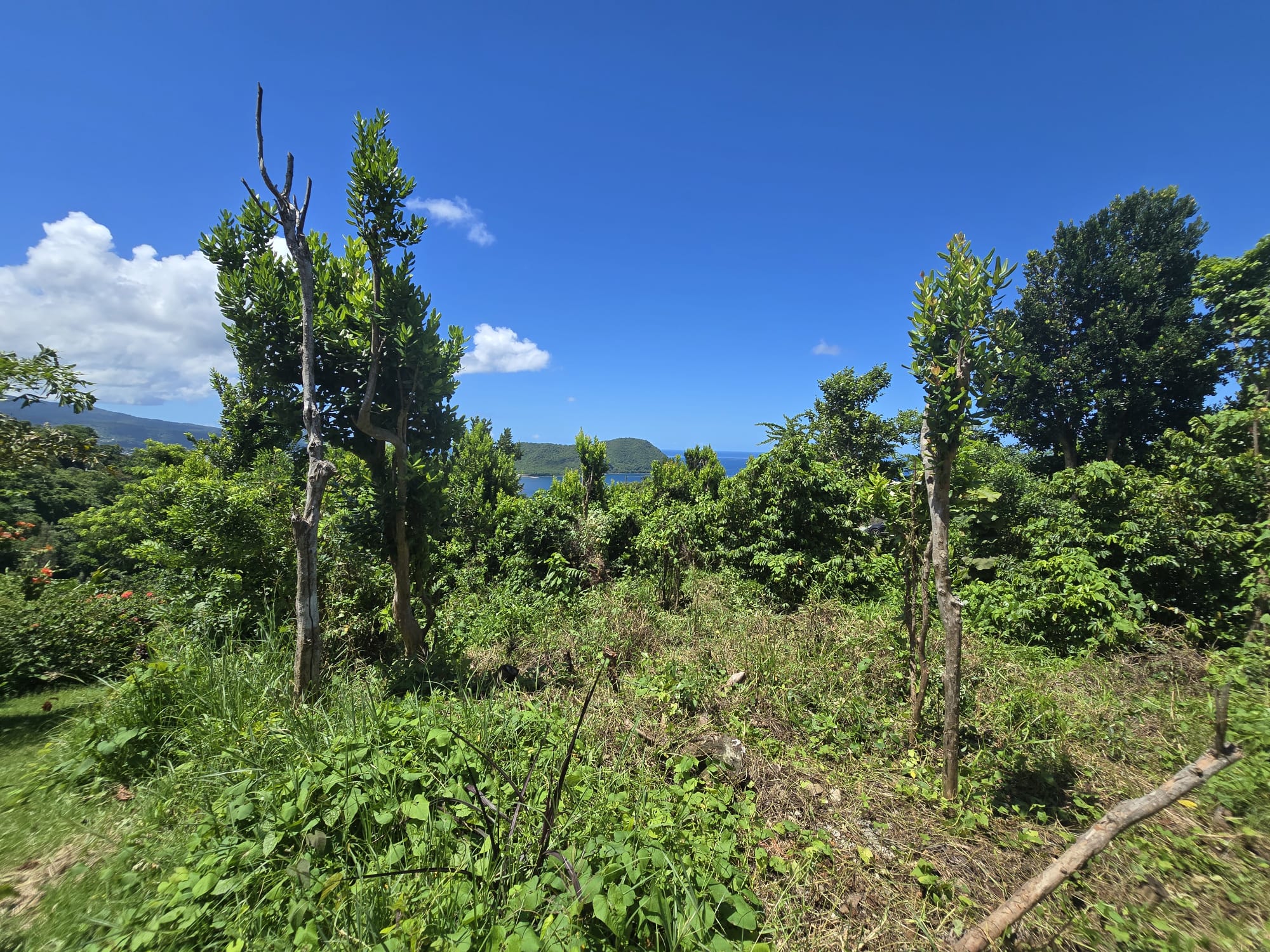 9000sqft  residential lot in Savanne Paille, Dominica  – EC$140,000 / US$52,434