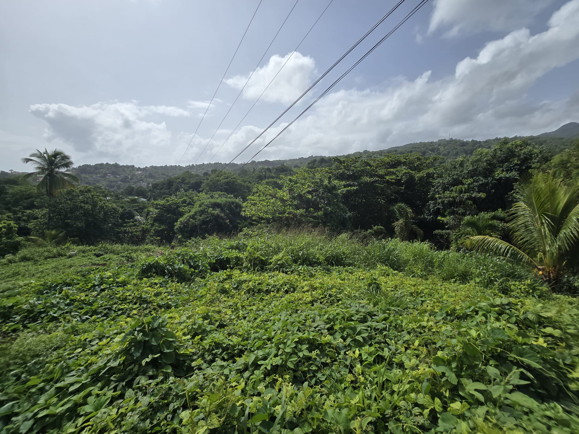 0.43 acre (18,730.8 sqft) residential lot for sale in Marigot, Dominica – EC$187,308 / US$70,153