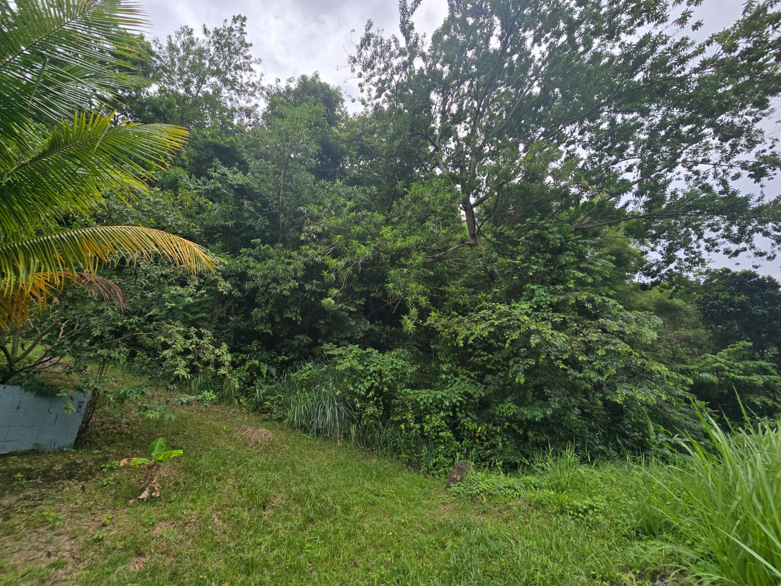 15,520sqft residential lot in Antrim, Dominica – EC$139,680 / US$52,315